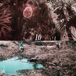 贵在真实稀缺的视频
